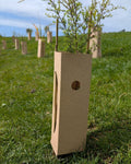 Mohua Multiguard - Economy