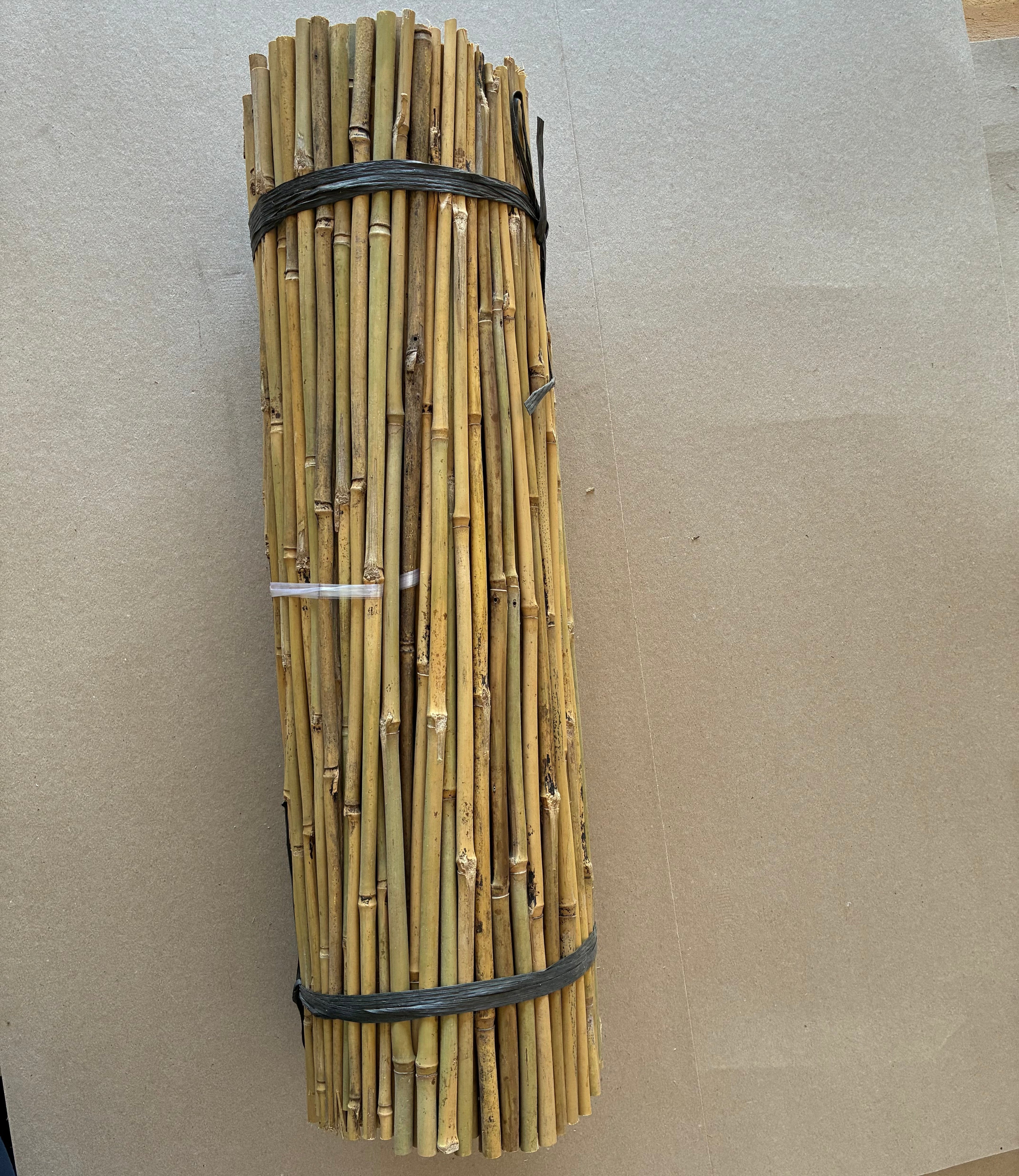 60cm bamboo stake